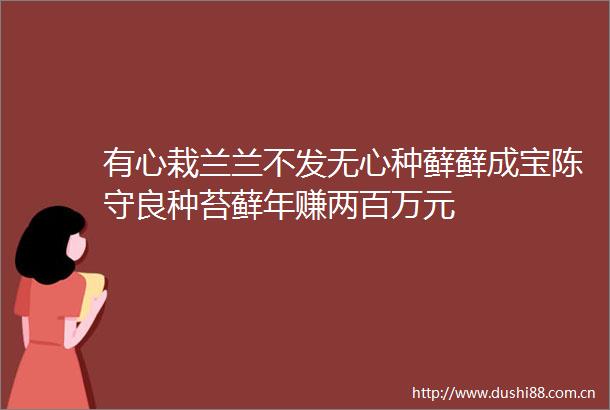 有心栽兰兰不发无心种藓藓成宝陈守良种苔藓年赚两百万元