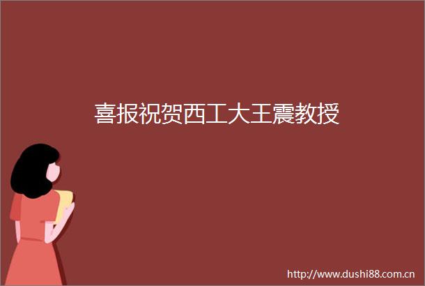喜报祝贺西工大王震教授
