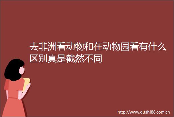 去非洲看动物和在动物园看有什么区别真是截然不同