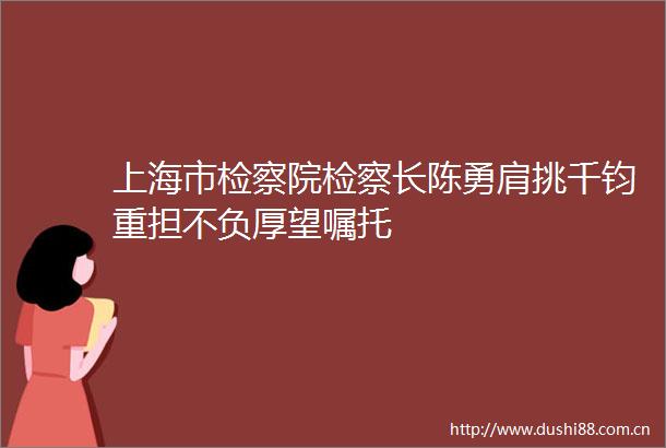 上海市检察院检察长陈勇肩挑千钧重担不负厚望嘱托