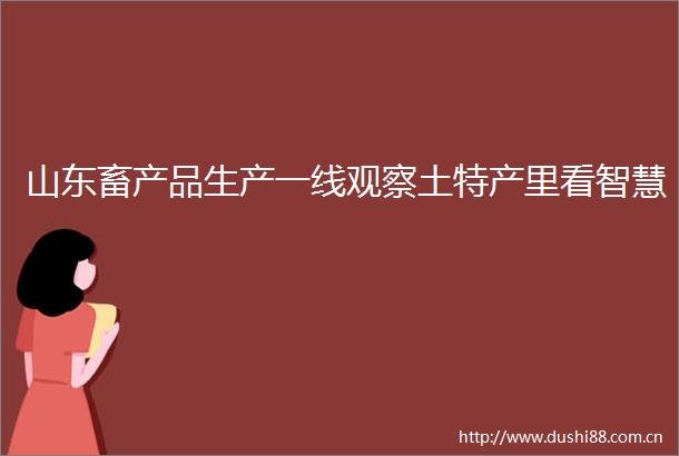 山东畜产品生产一线观察土特产里看智慧