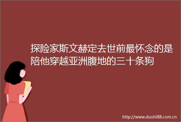 探险家斯文赫定去世前最怀念的是陪他穿越亚洲腹地的三十条狗
