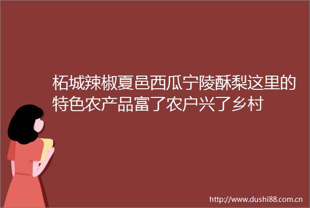 柘城辣椒夏邑西瓜宁陵酥梨这里的特色农产品富了农户兴了乡村
