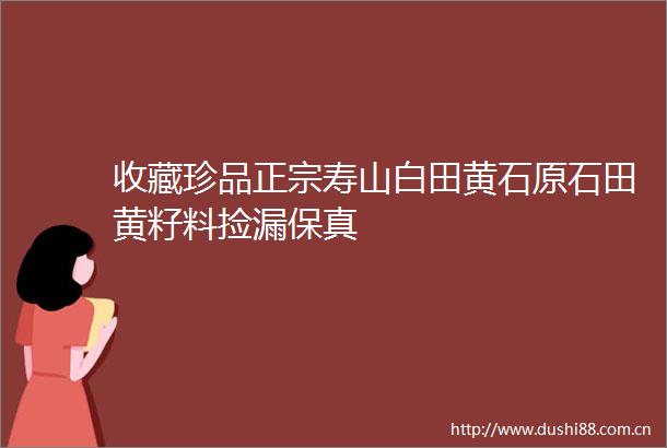 收藏珍品正宗寿山白田黄石原石田黄籽料捡漏保真