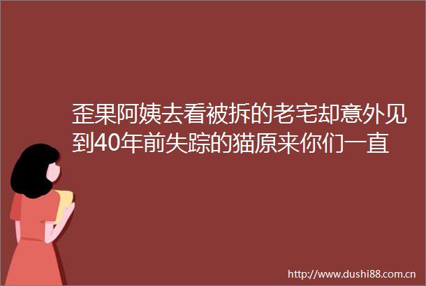 歪果阿姨去看被拆的老宅却意外见到40年前失踪的猫原来你们一直在我身边