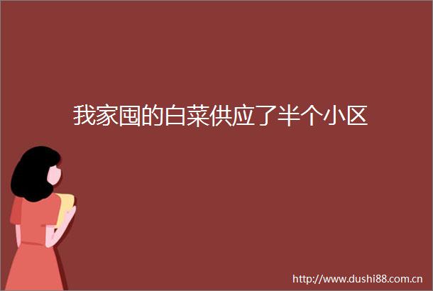 我家囤的白菜供应了半个小区