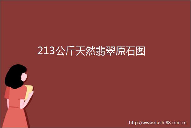 213公斤天然翡翠原石图