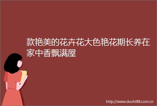 款艳美的花卉花大色艳花期长养在家中香飘满屋