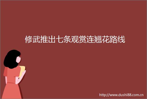 修武推出七条观赏连翘花路线