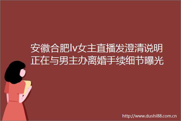 安徽合肥lv女主直播发澄清说明正在与男主办离婚手续细节