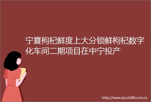宁夏枸杞鲜度上大分锁鲜枸杞数字化车间二期项目在中宁投产