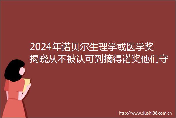 2024年诺贝尔生理学或医学奖揭晓从不被认可到摘得诺奖他们守得云开见月明