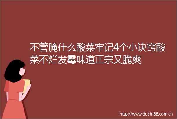 不管腌什么酸菜牢记4个小诀窍酸菜不烂发霉味道正宗又脆爽