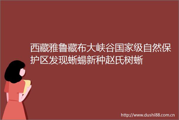 西藏雅鲁藏布大峡谷级自然保护区发现蜥蜴新种赵氏树蜥