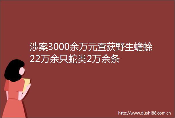 涉案3000余万元查获野生蟾蜍22万余只蛇类2万余条
