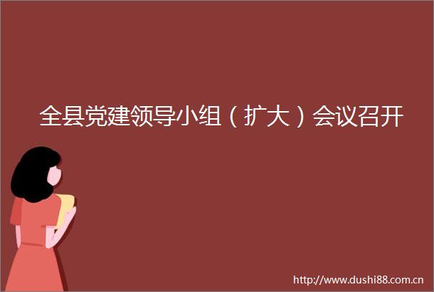 全县党建小组（扩大）会议召开