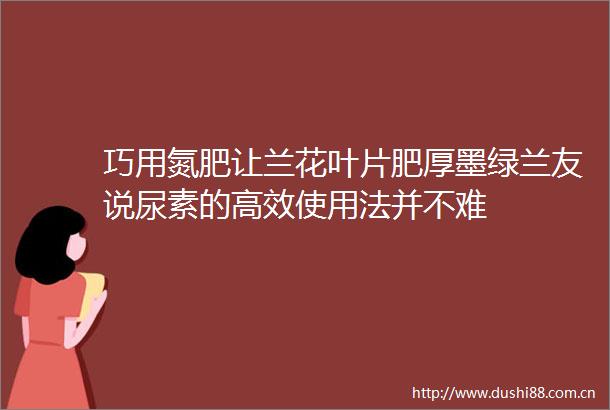 巧用氮肥让兰花叶片肥厚墨绿兰友说尿素的高效使用法并不难
