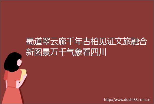 蜀道翠云廊千年古柏见证文旅融合新图景万千气象看四川