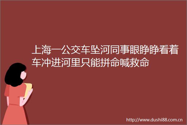 上海一公交车坠河同事眼睁睁看着车冲进河里只能拼命喊救命