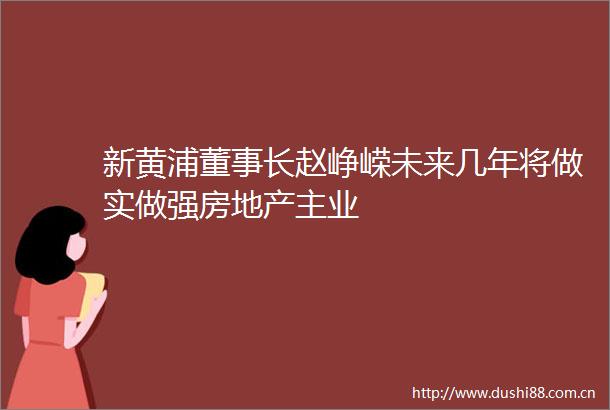 新黄浦董事长赵峥嵘未来几年将做实做强房地产主业