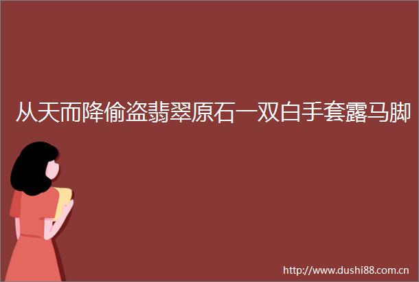 从天而降偷盗翡翠原石一双白手套露马脚