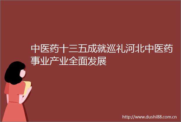 中医药十三五成就巡礼河北中医药事业产业全面发展