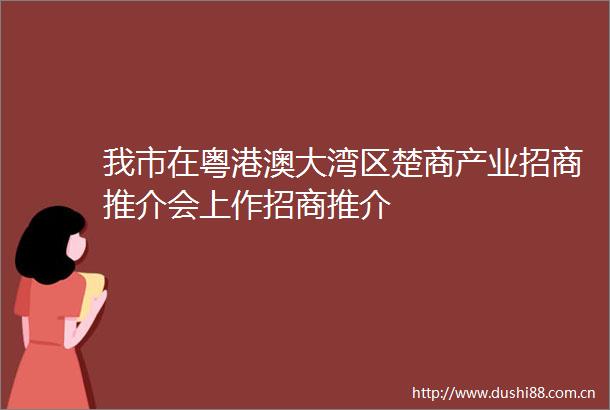 我市在粤港澳大湾区楚商产业招商推介会上作招商推介