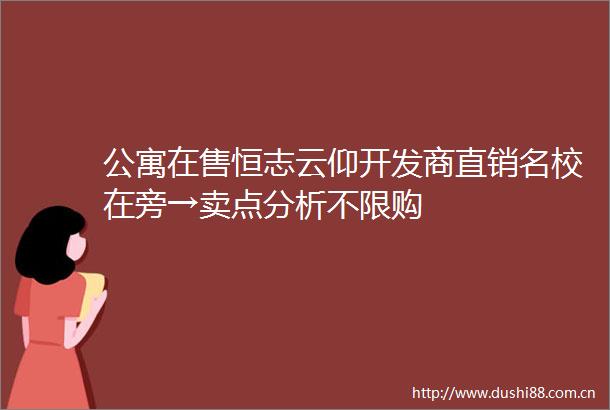 公寓在售恒志云仰开发商直销名校在旁→卖点分析不限购
