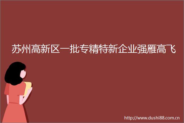 苏州高新区一批专精特新企业强雁高飞