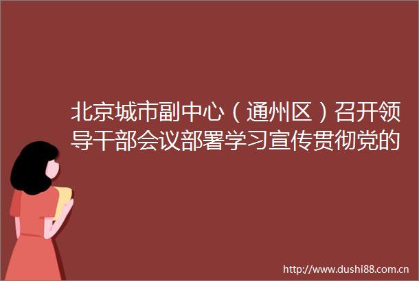 北京城市副中心（通州区）召开会议部署学习宣传贯彻党的二十大精神工作