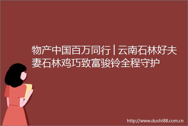 物产百万同行│云南石林好夫妻石林鸡巧致富骏铃全程守护