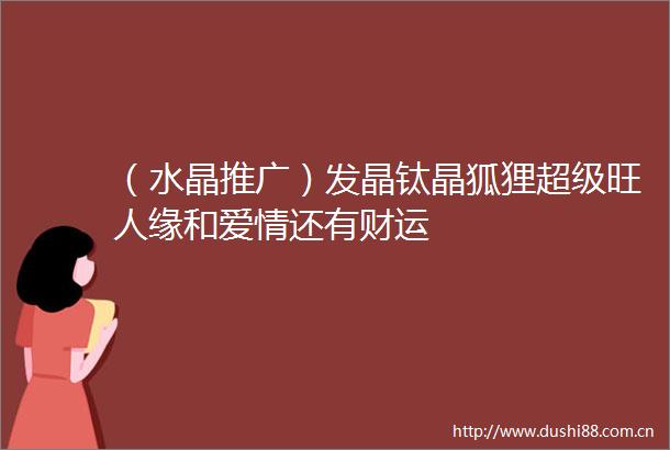 （水晶推广）发晶钛晶狐狸超级旺人缘和爱情还有财运