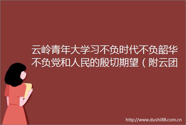 云岭青年大学习不负时代不负韶华不负党和的殷切期望（附云团快讯上期排名）