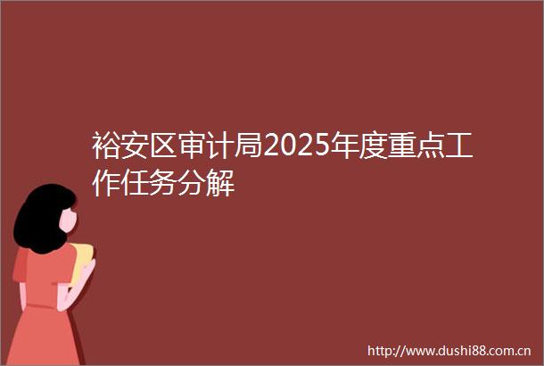 裕安区审计局2025年度重点工作任务分解