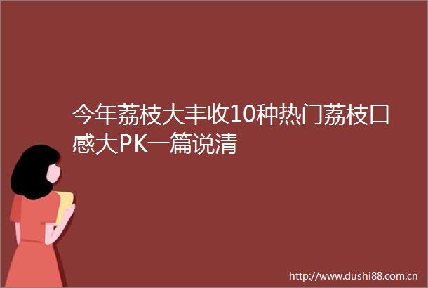 今年荔枝大丰收10种热门荔枝口感大PK一篇说清