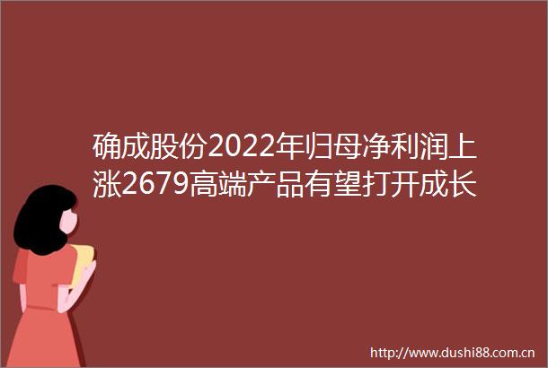 确成股份2022年归母净利润上涨2679高端产品有望打开成长空间