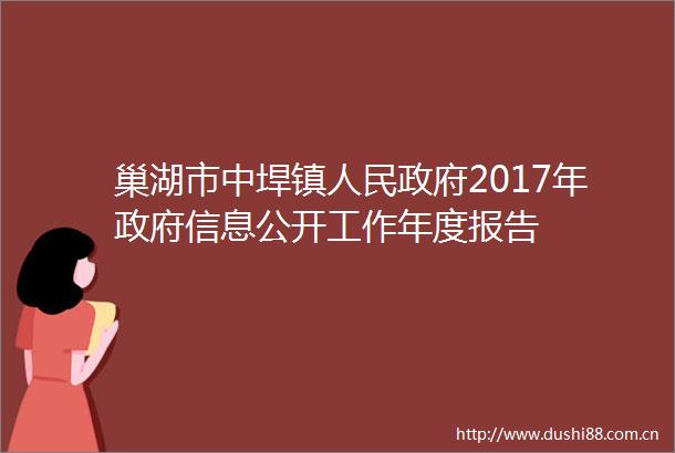 巢湖市中垾镇2017年信息公开工作年度报告