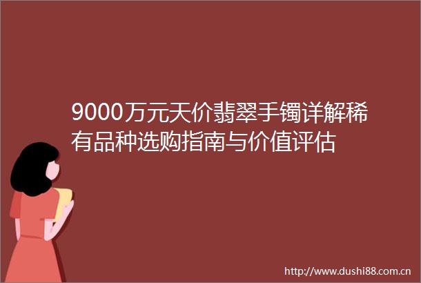 9000万元天价翡翠手镯详解稀有品种选购指南与价值评估