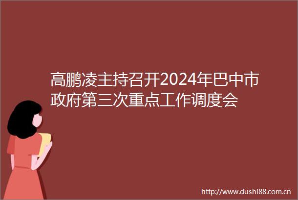 高鹏凌主持召开2024年巴中市第三次重点工作调度会