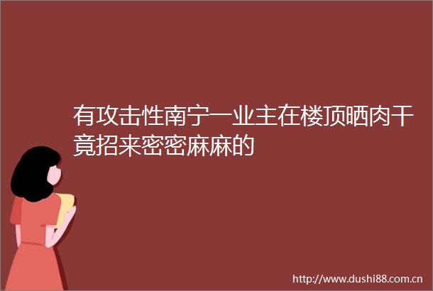 有攻击性南宁一业主在楼顶晒肉干竟招来密密麻麻的