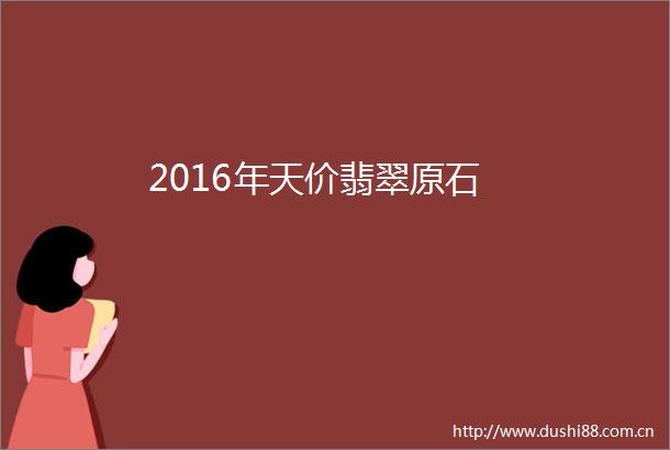 2016年天价翡翠原石