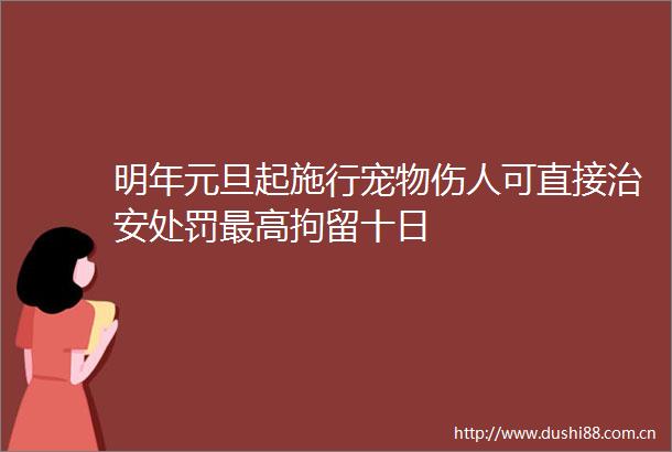 明年元旦起施行宠物伤人可直接治安最高拘留十日