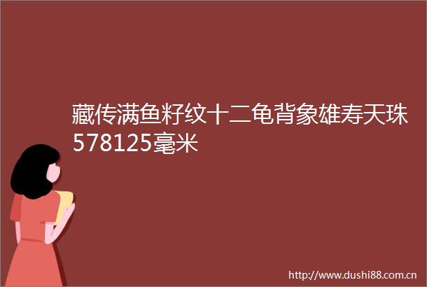藏传满鱼籽纹十二龟背象雄寿天珠578125毫米