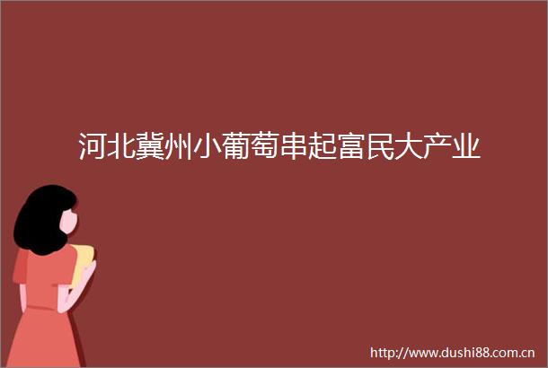 河北冀州小葡萄串起富民大产业