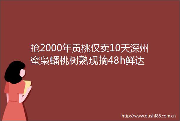 抢2000年贡桃仅卖10天深州蜜枭蟠桃树熟现摘48h鲜达