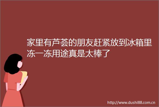 家里有芦荟的朋友赶紧放到冰箱里冻一冻用途真是太棒了