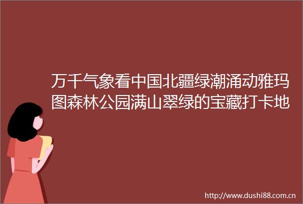 万千气象看北疆绿潮涌动雅玛图森林公园满山翠绿的宝藏打卡地
