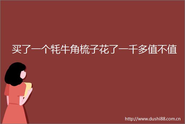 买了一个牦牛角梳子花了一千多值不值