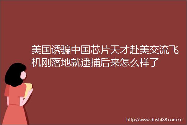 美国诱芯片天才赴美交流飞机刚落地就逮捕后来怎么样了