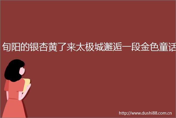 旬阳的银杏黄了来太极城邂逅一段金色童话